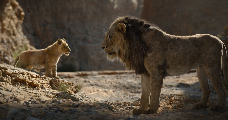 Illustration for article titled The dead-eyed new Lion King painfully illustrates the difference between cinema and video games